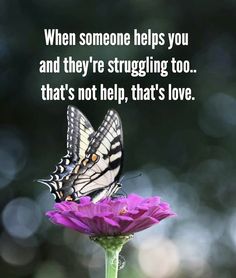 a butterfly sitting on top of a purple flower with a quote below it saying, when someone helps you and they're struggling too that's not help that's love