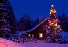 a lit christmas tree in front of a cabin at night