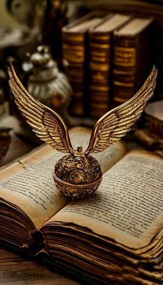 an open book with wings on top of it next to some books and other items