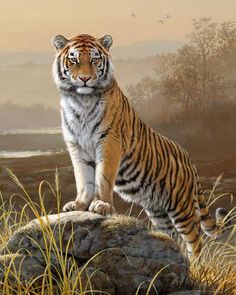 a painting of a tiger standing on top of a rock