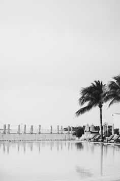 black and white photograph of palm trees next to an empty swimming pool