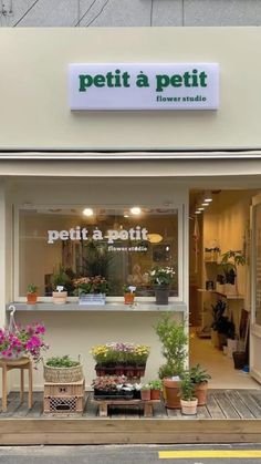 a store front with potted plants in the window