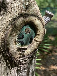 a tree with a face carved into it's hole in the side of a tree