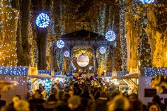 a crowd of people standing under trees covered in christmas lights