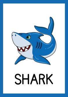 a blue and white sign with a cartoon shark on it's face, the word shark