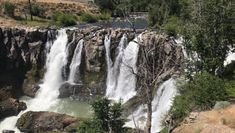 a large waterfall with lots of water coming out of it's sides and surrounded by trees