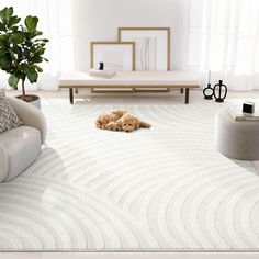 a dog laying on the floor in a living room with white furniture and large windows