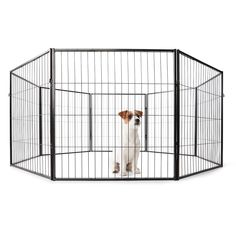 a dog is standing in an extra tall black pet playpen with doors open to let it inside