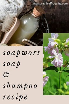 soap and shampoo recipe with lavender flowers