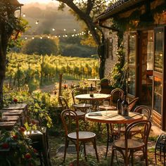 an outdoor dining area with tables and chairs in front of a vineyard at sunset or sunrise