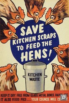 an advertisement for kitchen scraps with chickens on it