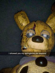 a teddy bear with two eyes and an expression on it's face that says, i showed you my sprinkles plus respond