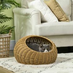 a cat is sitting in a wicker basket on the floor next to a couch