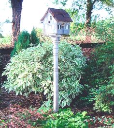 a bird house on top of a pole in the middle of some bushes and trees