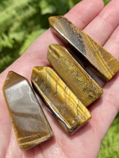 Tigers Eye Generator - Morganna’s Treasures Pursue Your Dreams, Taking Action, Tigers Eye, Tiger Eye, Unique Colors, Psychic, Tigers, Dreaming Of You, Confidence