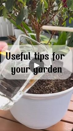 a potted plant with dirt in it and the words useful tips for growing your garden