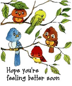 four birds sitting on a tree branch with the words hope you're feeling better soon