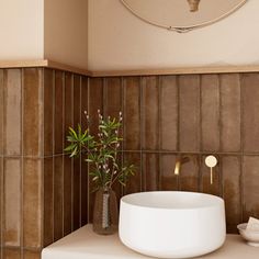 a white sink sitting on top of a counter next to a potted plant