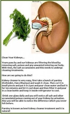 Massage For Women, Kidney Detox, Healthy Kidneys, Kidney Cleanse, Natural Colon Cleanse, Home Health Remedies, Herbs For Health, Liver Detox, Kidney Health