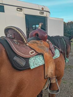 two brown horses with saddles standing next to each other in front of a trailer