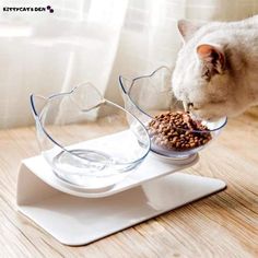 It is always advised to have a cat food or water bowl for your catIt's a matter of common sense that if the cat does not have her own bowlshe will try to lick your dishes and utensilsWe've all been there🐾 These cat food and water bowls could also help to teach manners to your lovely catThe cats will become aware that these bowls belong to themand they should not touch the other bowls or dishes. Once you start adding food in the bowlsyour cat will start eating from them until she's full and lea Flat Faced Cat, Cat Dishes, Pink Paws, Cat Bowl, Dog Feeder, Pet Feeder