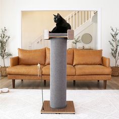 a cat sitting on top of a scratching post in the middle of a living room