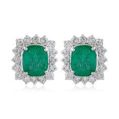 Zambian Emerald Halo Stud Earrings SI/H Diamond 14k White Gold Anniversary Gift Emerald Stud Earrings, Emerald Earrings Studs, Gold Anniversary, Halo Earrings Studs, Zambian Emerald, Emerald Earrings, White Gold Jewelry, Diamond Earrings Studs, Jewellery And Watches