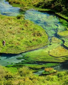 an aerial view of a river with green algae on the water and people walking along it