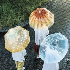 three people with umbrellas are walking down the street in front of grass and bushes