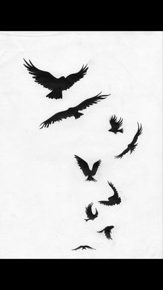 several birds flying in the air with writing on them