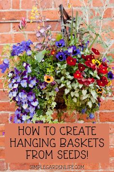 How To Create Hanging Baskets From Seeds by simplegardenlife.com Hanging Basket Plants, Fall Hanging Baskets, Hanging Baskets Diy, Plants From Seeds, Planting Seeds Indoors, Garden Centers, Starting Seeds Indoors, Hanging Flower Baskets