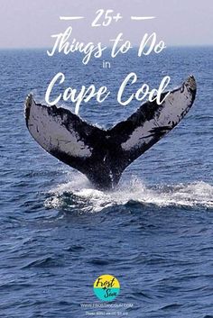 a whale tail flups out from the water with text overlay that reads, 25 things