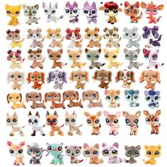 the littlest pet shop collection is shown with many different colors and sizes, including chihuahuas