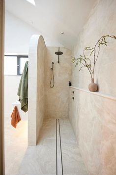 a bathroom with a shower, toilet and plant in the corner on the wall next to it