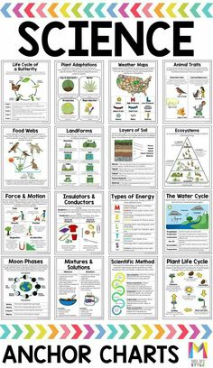 an anchor chart for science with pictures and text on the bottom, in front of it