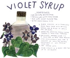 a drawing of a bottle with flowers and leaves on the side, labeled violet syrup