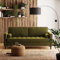 a living room with a green couch and potted plants on the wall next to it