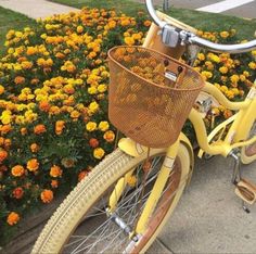 a yellow bicycle with a basket parked next to flowers