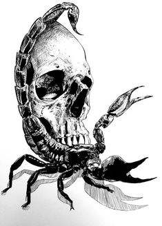 a black and white drawing of a skull with a scorpion on it's back