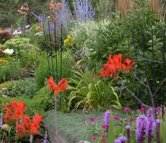 a garden filled with lots of colorful flowers