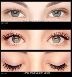 Eyelash Extensions Before And After, Eyelash Extensions Aftercare, Permanent Eyelashes, Eyelash Enhancer, Natural Eyelash Extensions, Eyebrow Growth, Eyelash Extentions, Eyelash Extension Kits, Types Of Makeup