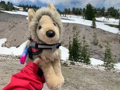 a person holding a stuffed animal on top of a snow covered mountain with trees in the background