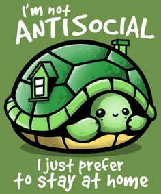 i'm not antisocial just prefer to stay at home