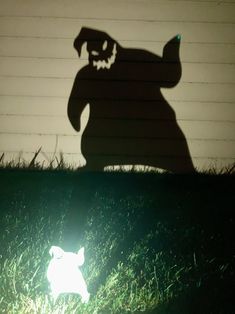 a shadow of a dog on the grass with its head turned to look like a ghost