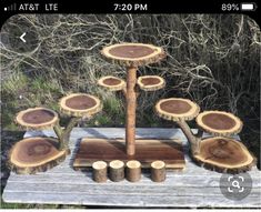 a group of trees that have been cut down and arranged in the shape of rings