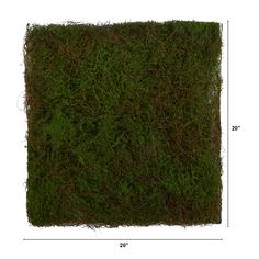 a square patch of grass is shown with measurements