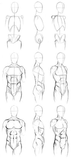 the human figure is shown in this drawing lesson