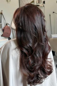 dark hair inspo Dark Cherry Brunette Hair, Cherry Cola Brunette Hair, Brunette Cherry Hair, Low Lights Brown Hair Dark, Dark Cherry Black Hair, Cherry Cola Highlights On Dark Hair, Indian Brown Hair, Dark Hair Gloss, Dark Chocolate Red Hair