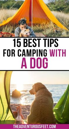 a dog sitting next to a tent with the words 15 best tips for camping with a dog