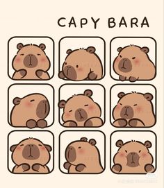 a cartoon bear with different expressions on it's face and the words capy bara